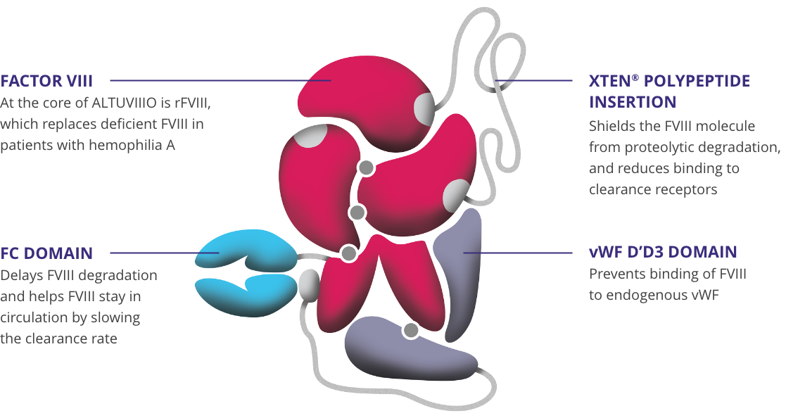 Infographic: ALTUVIIIO molecule with three components annotated Fc Domain, XTEN® Polypeptides, and vWF D’D3 Domain